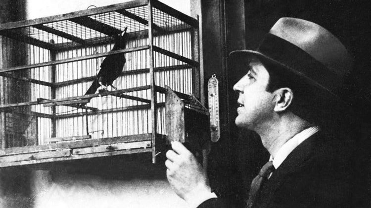 Científico cuestiona teoría oficial sobre el accidente aéreo que acabó con la vida de Carlos Gardel