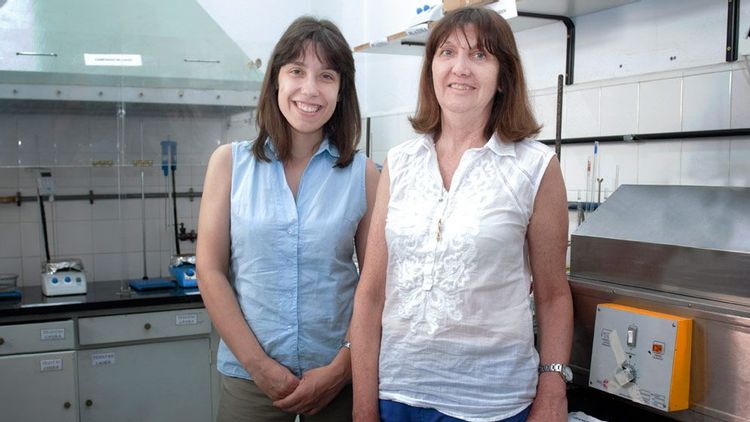Nanocelulosa bacteriana: una gran promesa para aplicaciones en el área biomédica