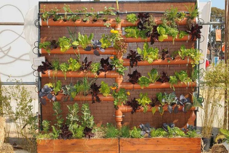 Casi la mitad de los residuos son alimentos y podrían reciclarse como abono en huertas