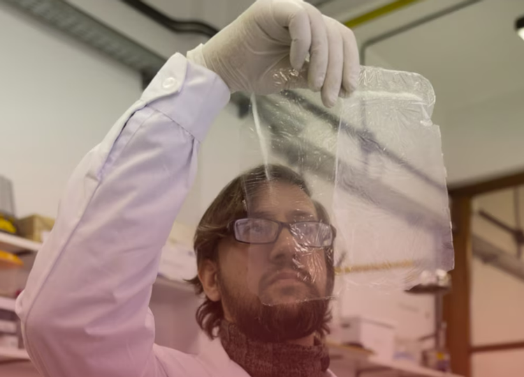 Nanopapel bacteriano para restaurar documentos históricos