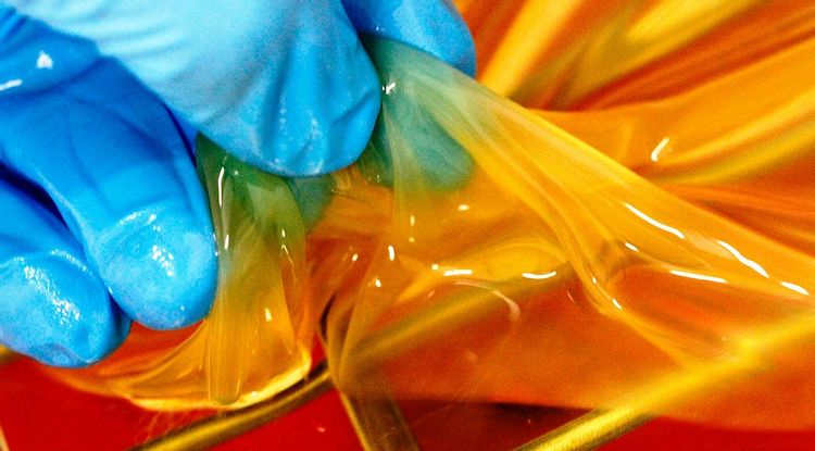 Bacterias: motor de la industria